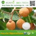 Anti Inflammotory Aesculus chinensis/Horse Chestnut extract powder 20% Aescin in herb extract
